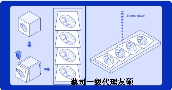 临夏蔡司临夏扫描电镜